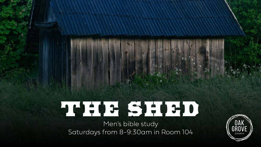 The Shed