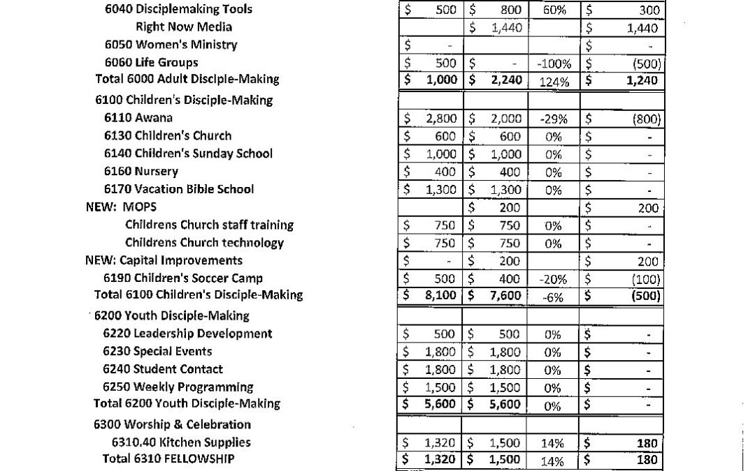 2019 Budget